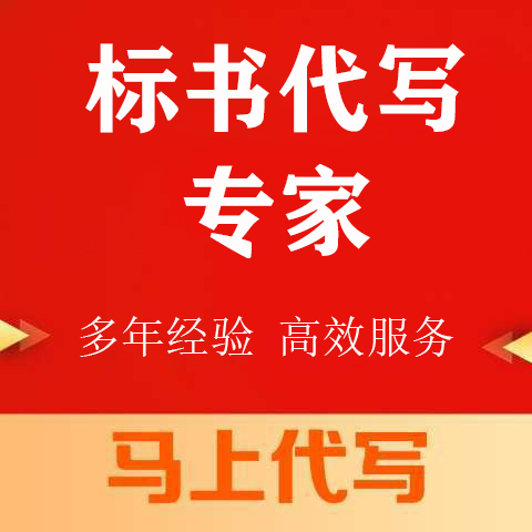 名山区投标书代写投标书代写 - 方案